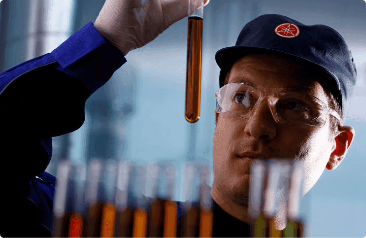 ESCOLHIDO CUIDADOSAMENTE