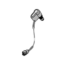 524916 - miniatura 1