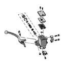 562690 - miniatura 1