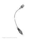 774503 - miniatura 1