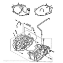 888618 - miniatura 2