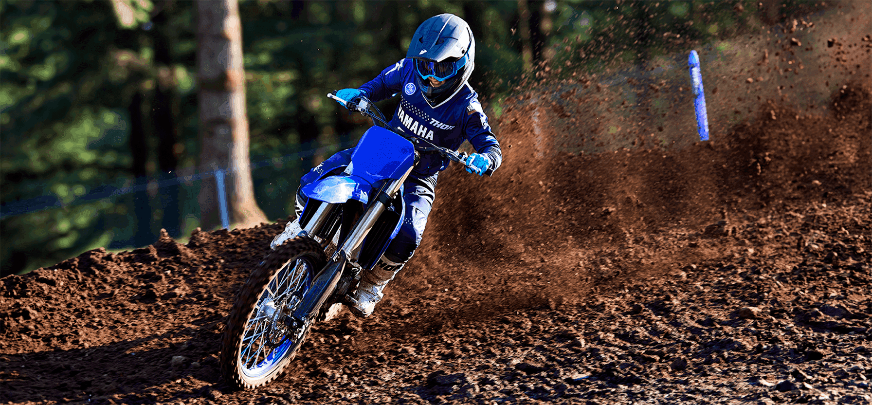 CONSAGRADO MOTOR 4 TEMPOS DE 250 CC