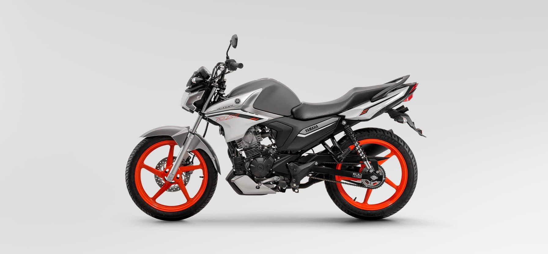 CONFORTO E ESTILO ACELERAM JUNTOS